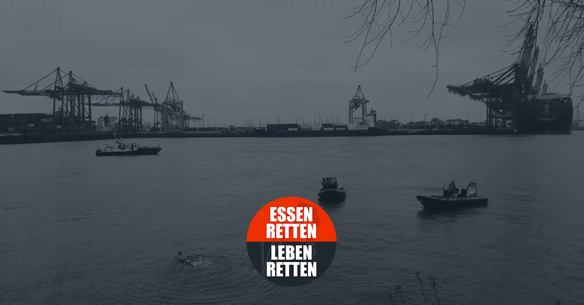 Food rescuer swims in Hamburg's harbor basin, paralyzing shipping traffic